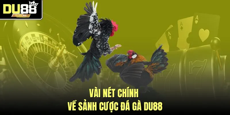 Vài nét chính về sảnh cược đá gà DU88
